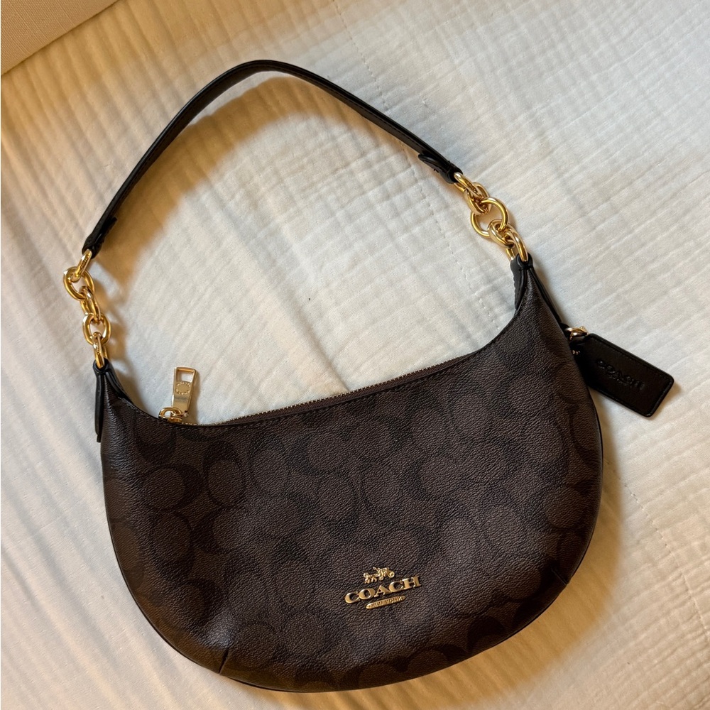 Coach Payton Hobo Shoulder Bag in Brown/Black Signature